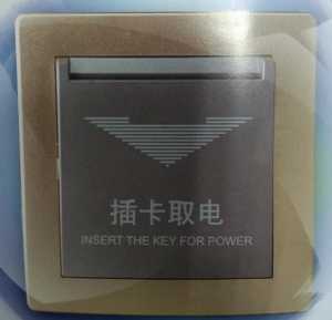 BWS923聯(lián)網型身份識別開關